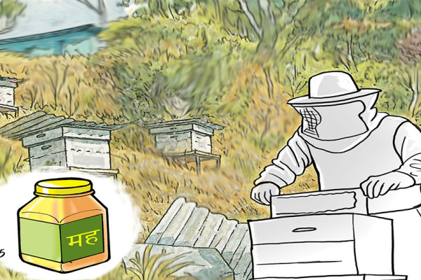 नेपालमा मह आयात: नौलो अनुभूति